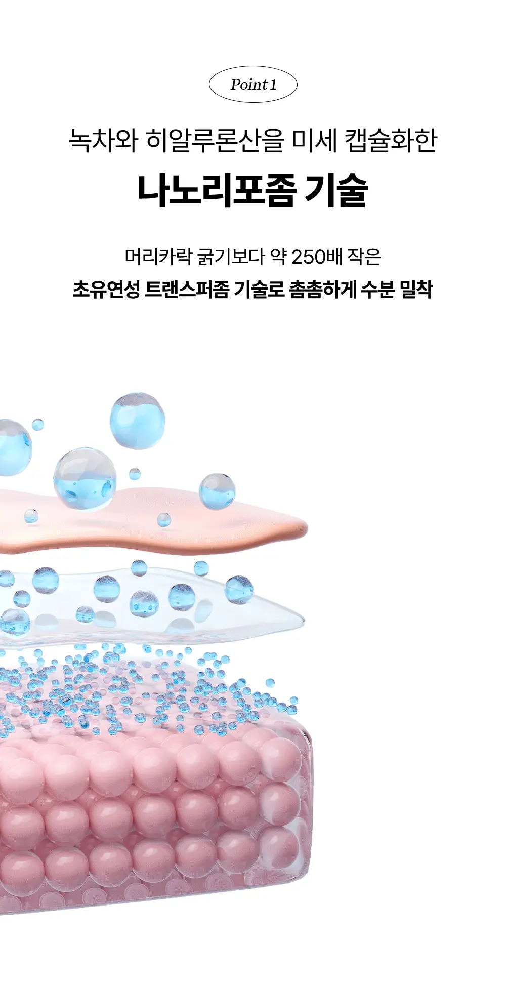 [NEW/속보습]조선미녀 녹차 히알루론산 수분진정 세럼 30ml 상세페이지 7